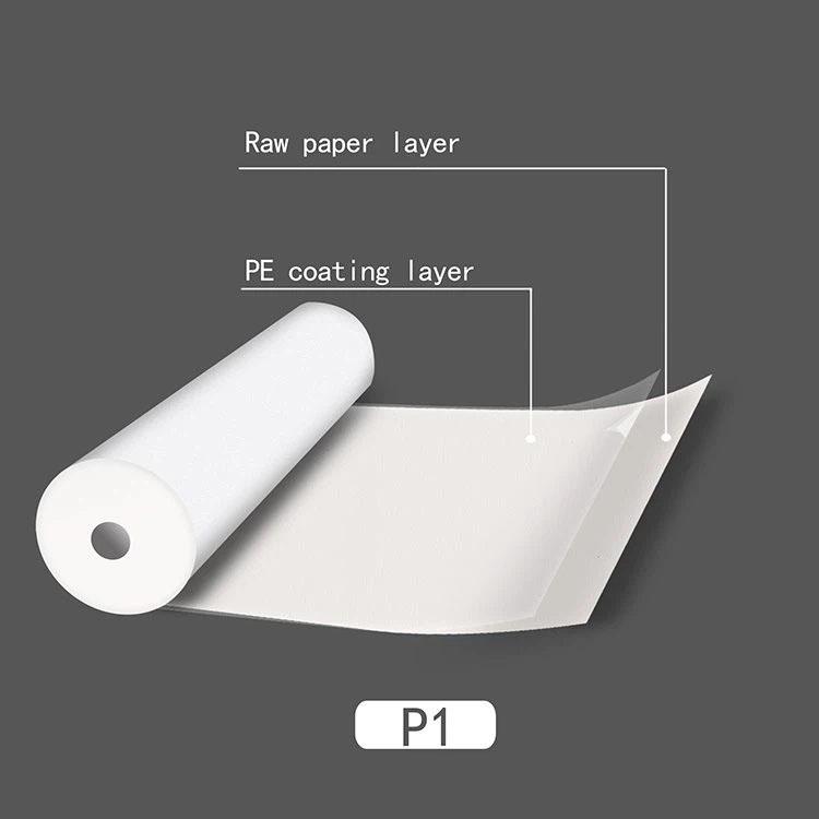 1.jpg 纸杯材料上的 PE 涂层